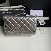 Chanel Wallet On Chain Woc Silver Lambskin 19cm - 1