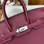 Hermes Birkin 25 Red Wine Silver Togo 25cm - 2