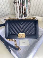 Chanel Leboy Bag Caviar Chevron Navy Blue Gold 25cm - 1