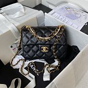 Chanel Flap Bag Lustrous Lambskin Black Pearls 19.5x14.5x7.5cm - 1