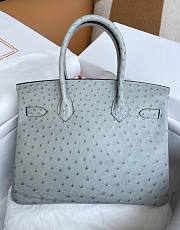 Hermes Birkin 30 Bag Ostrich Grey Silver 30cm - 3