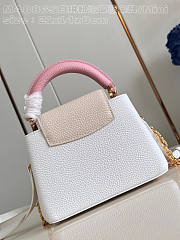 Louis Vuitton LV Mini Capucines Snow White 21x14x8cm - 6