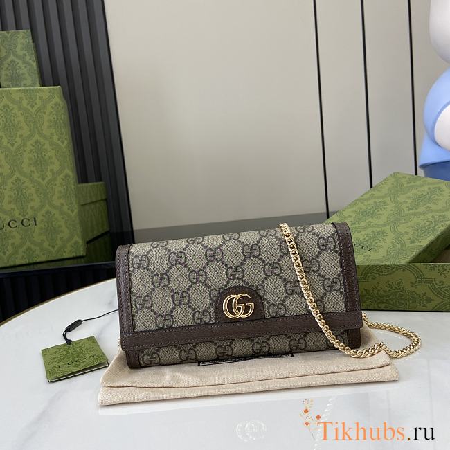 Gucci Ophidia Chain Wallet Beige 19x10x3.5cm - 1