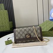 Gucci Ophidia Chain Wallet Beige 19x10x3.5cm - 1