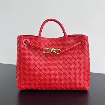 Bottega Veneta Medium Andiamo Red 32.5x24x12cm