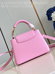 Louis Vuitton LV Mini Capucines Pink Bag 21cm - 5