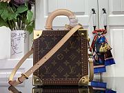 Louis Vuitton LV Leopard Mini Square Trunk Bag 17 x 17 x 8 cm - 2