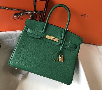 Hermes Birkin 25 Bag Green Togo Gold 25cm