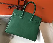 Hermes Birkin 25 Bag Green Togo Gold 25cm - 5