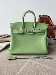 Hermes Birkin 25 Bag Light Green Silver 25cm - 1