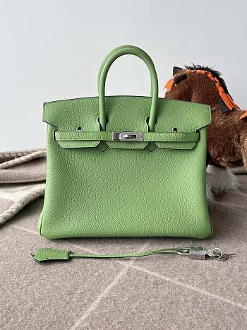 Hermes Birkin 25 Bag Light Green Silver 25cm