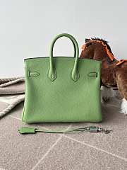 Hermes Birkin 25 Bag Light Green Silver 25cm - 5