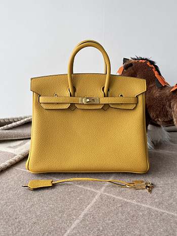 Hermes Birkin 25 Bag Yellow Togo Gold 25cm