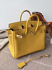 Hermes Birkin 25 Bag Yellow Togo Gold 25cm - 5