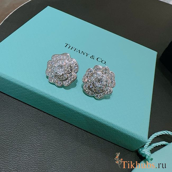 Tiffany Co Earrings - 1