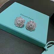 Tiffany Co Earrings - 1