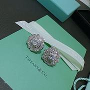 Tiffany Co Earrings - 3