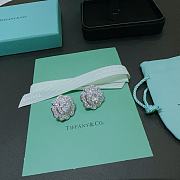 Tiffany Co Earrings - 2