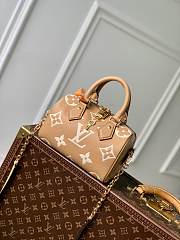 Louis Vuitton LV Speedy 20 Arizona 20.5 x 13.5 x 12 cm - 1