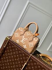 Louis Vuitton LV Speedy 20 Arizona 20.5 x 13.5 x 12 cm - 5