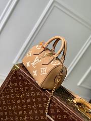 Louis Vuitton LV Speedy 20 Arizona 20.5 x 13.5 x 12 cm - 2