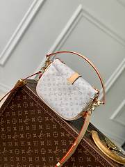 Louis Vuitton LV Saumur BB Mastic 20 x 16 x 7.5 cm - 3