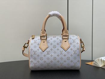 Louis Vuitton LV Speedy Bandoulière 20 Mastic 20.5 x 13.5 x 12 cm