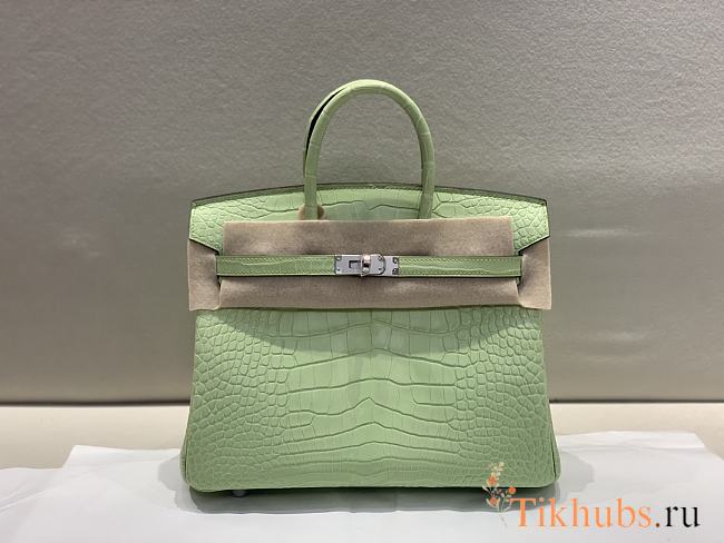 Hermes Birkin 25 Bag Crocodile Light Green Silver 25cm - 1