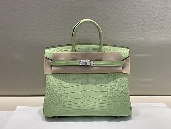 Hermes Birkin 25 Bag Crocodile Light Green Silver 25cm