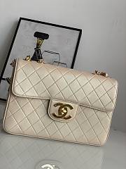 Chanel Jumbo Flap Bag Beige Lambskin Gold 30x21x8cm - 1