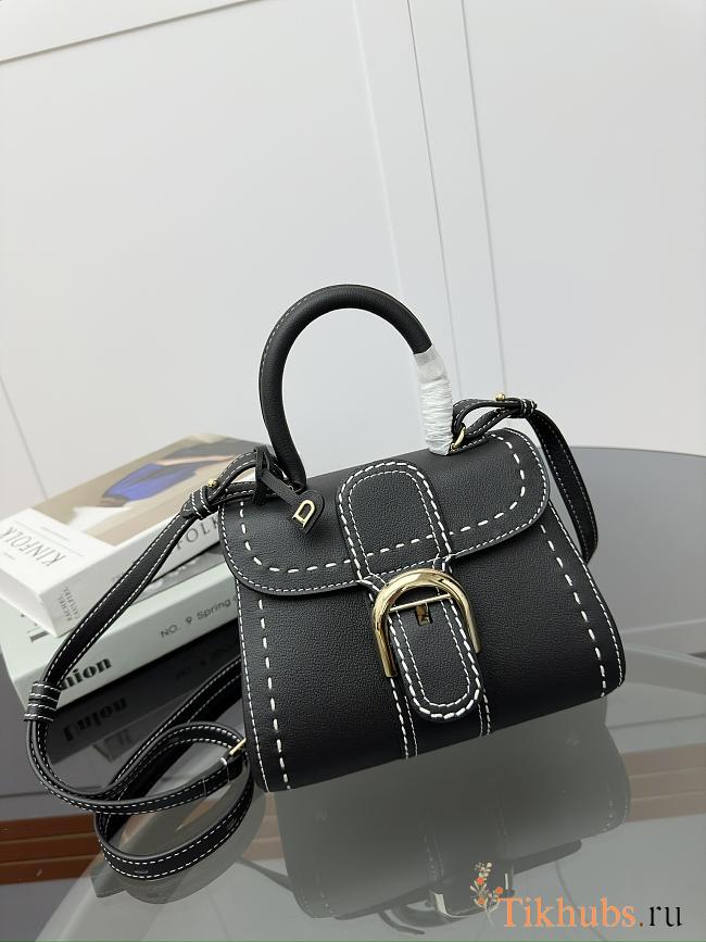 Delvaux Brillant Mini Whole-Grain Leather Black 20x12x15cm - 1