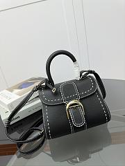 Delvaux Brillant Mini Whole-Grain Leather Black 20x12x15cm - 1