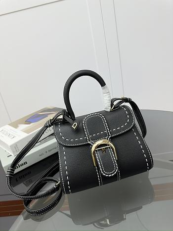 Delvaux Brillant Mini Whole-Grain Leather Black 20x12x15cm