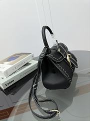 Delvaux Brillant Mini Whole-Grain Leather Black 20x12x15cm - 3