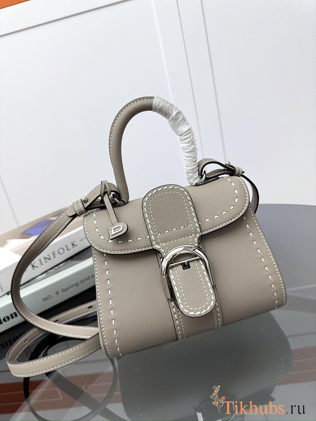 Delvaux Brillant Mini Whole-Grain Leather Grey 20x12x15cm - 1