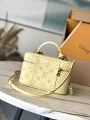 Louis Vuitton LV Vanity Chain Pouch Yellow 19 x 11.5 x 6.5 cm - 3