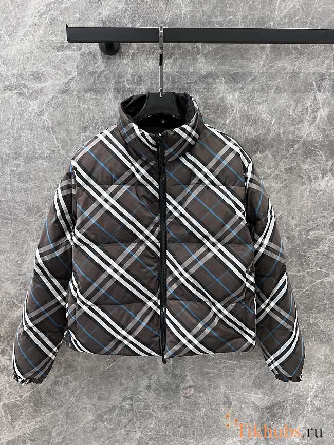 Burberry Winter Jacket - 1