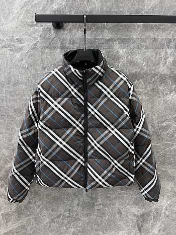 Burberry Winter Jacket