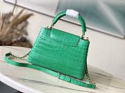 Louis Vuitton LV Capucines BB Crocodile Green 27cm - 4