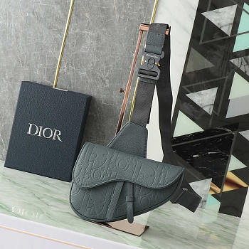 Dior Saddle Bag Grey Gravity Leather 27x20x5cm