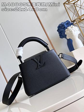 Louis Vuitton LV Mini Capucines Bag Black 21x14x8cm