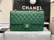 Chanel Flap Bag Green Caviar Silver 25cm - 1