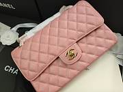 Chanel Flap Bag Iridescent Pink Gold 25cm - 1