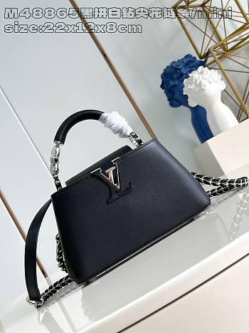 Louis Vuitton LV Capucines East-West Mini Bag Black 22x12x8cm