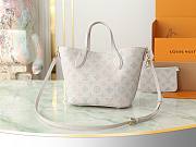 Louis Vuitton LV Blossom PM Grey 20x20x12.5 cm - 3