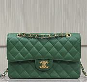 Chanel Flap Bag Green Caviar Gold 23cm - 1