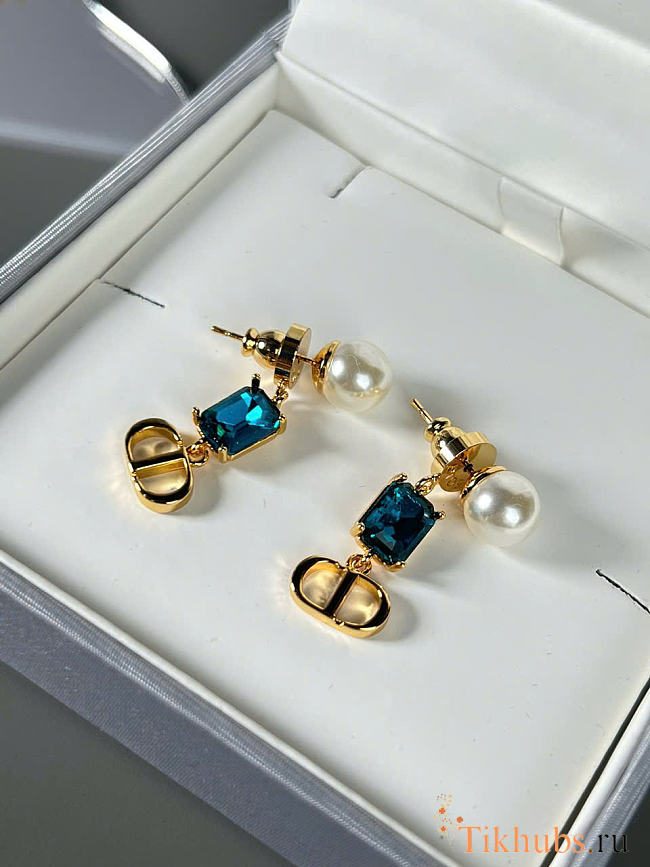 Dior Earrings 09 - 1