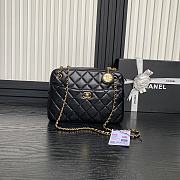 Chanel Camera Case Black Bag 24cm - 1