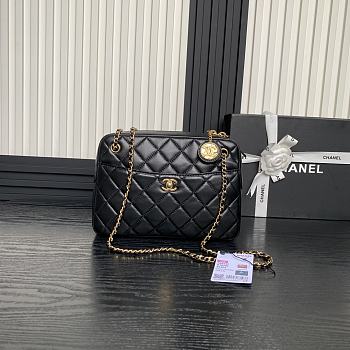 Chanel Camera Case Black Bag 24cm