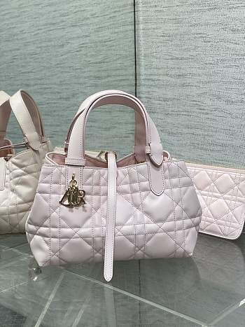 Dior Small Toujours Bag Pale Pink 23 x 14 x 12 cm